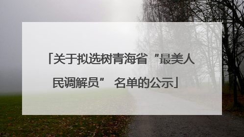 关于拟选树青海省“最美人民调解员” 名单的公示