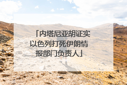 内塔尼亚胡证实以色列打死伊朗情报部门负责人