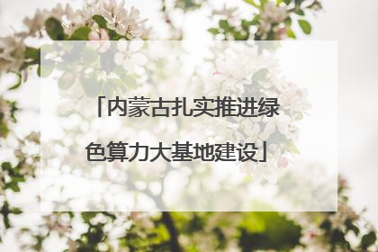 内蒙古扎实推进绿色算力大基地建设