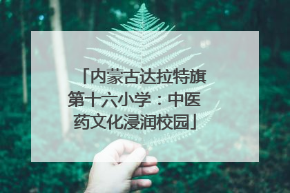 内蒙古达拉特旗第十六小学：中医药文化浸润校园