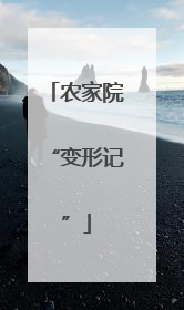农家院“变形记”
