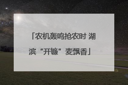农机轰鸣抢农时 湖滨“开镰”麦飘香