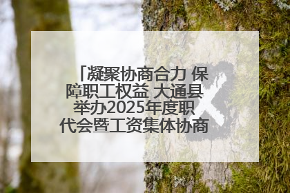 凝聚协商合力 保障职工权益 大通县举办2025年度职代会暨工资集体协商现场观摩交流活动