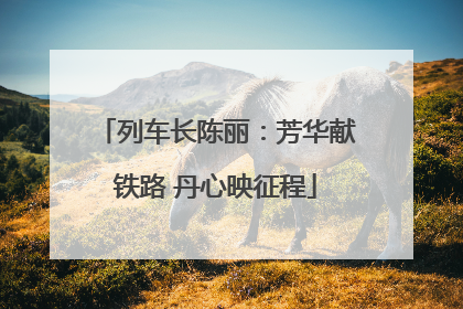 列车长陈丽：芳华献铁路 丹心映征程
