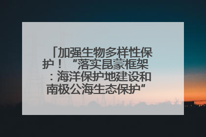 加强生物多样性保护！“落实昆蒙框架：海洋保护地建设和南极公海生态保护”主题论坛将举办