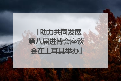 助力共同发展 第八届进博会座谈会在土耳其举办