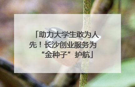 助力大学生敢为人先！长沙创业服务为“金种子”护航
