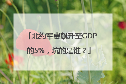 北约军费飙升至GDP的5%，坑的是谁？