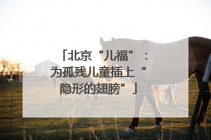 北京“儿福”：为孤残儿童插上“隐形的翅膀”