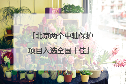 北京两个中轴保护项目入选全国十佳