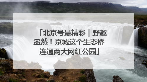 北京号最精彩｜野趣盎然！京城这个生态桥连通两大网红公园