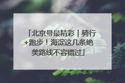 北京号最精彩｜骑行+跑步！海淀这几条绝美路线不容错过