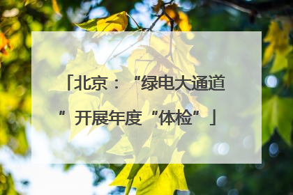 北京：“绿电大通道”开展年度“体检”