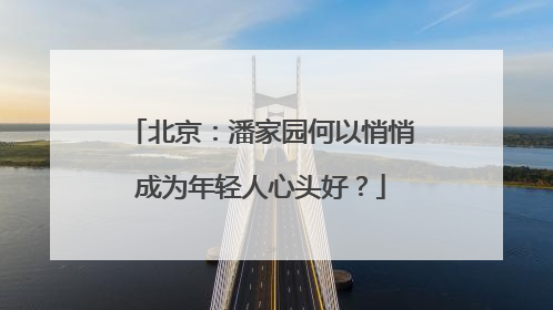 北京：潘家园何以悄悄成为年轻人心头好？