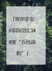 埃尔多安：向印尼出口48架“五代战机”