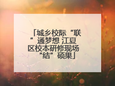 城乡校际“联”通梦想 江夏区校本研修现场“结”硕果