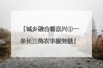 城乡融合看嘉兴③一条长三角农事服务链