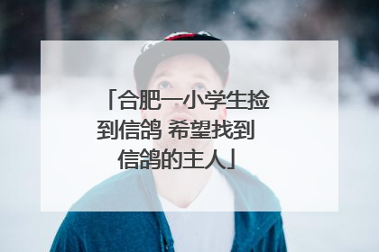 合肥一小学生捡到信鸽 希望找到信鸽的主人