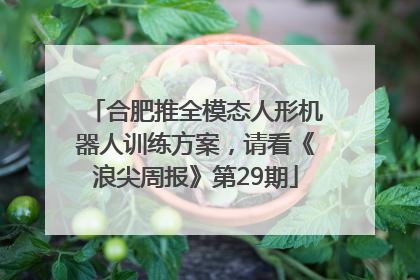 合肥推全模态人形机器人训练方案，请看《浪尖周报》第29期