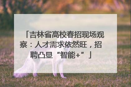 吉林省高校春招现场观察：人才需求依然旺，招聘凸显“智能+”