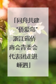 同舟共建“侨爱岛” 浙江省侨商会青委会代表团走进嵊泗