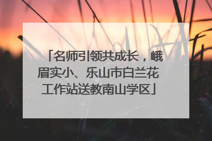 名师引领共成长，峨眉实小、乐山市白兰花工作站送教南山学区