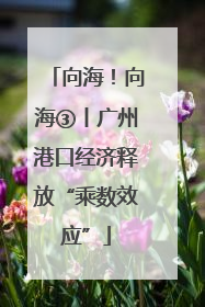 向海！向海③丨广州港口经济释放“乘数效应”
