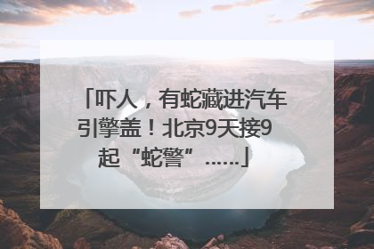 吓人，有蛇藏进汽车引擎盖！北京9天接9起“蛇警”……