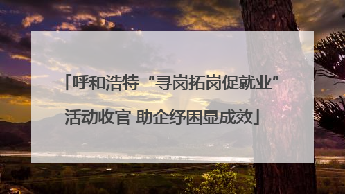 呼和浩特“寻岗拓岗促就业”活动收官 助企纾困显成效