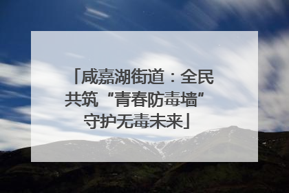 咸嘉湖街道：全民共筑“青春防毒墙” 守护无毒未来