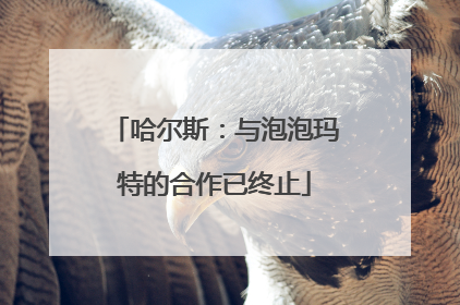 哈尔斯：与泡泡玛特的合作已终止