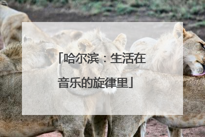 哈尔滨：生活在音乐的旋律里