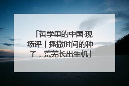 哲学里的中国·现场评丨播撒时间的种子，荒芜长出生机