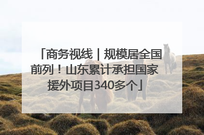 商务视线｜规模居全国前列！山东累计承担国家援外项目340多个