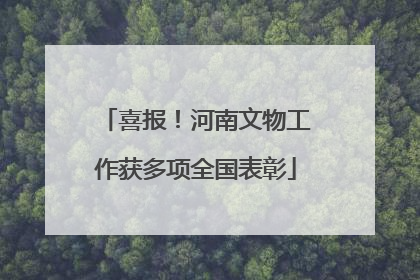喜报！河南文物工作获多项全国表彰