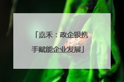 嘉禾：政企银携手赋能企业发展