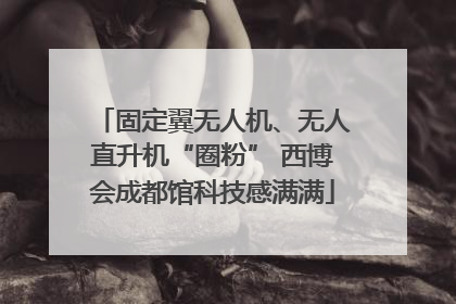 固定翼无人机、无人直升机“圈粉” 西博会成都馆科技感满满