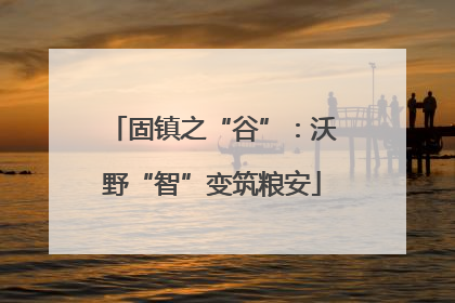 固镇之“谷”：沃野“智”变筑粮安