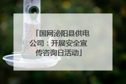 国网泌阳县供电公司：开展安全宣传咨询日活动