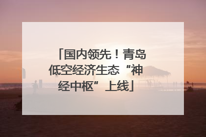 国内领先！青岛低空经济生态“神经中枢”上线