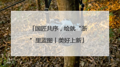 国匠共序，绘就“浙”里蓝图丨美好上新