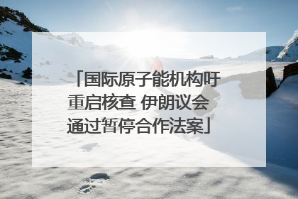 国际原子能机构吁重启核查 伊朗议会通过暂停合作法案