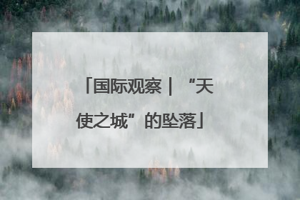 国际观察｜“天使之城”的坠落