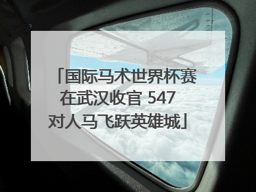 国际马术世界杯赛在武汉收官 547对人马飞跃英雄城