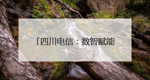 四川电信：数智赋能织密“普遍服务网”，绘就巴蜀新画卷