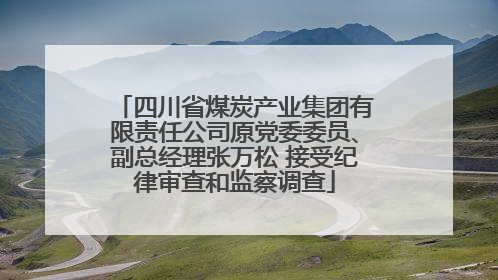 四川省煤炭产业集团有限责任公司原党委委员、副总经理张万松 接受纪律审查和监察调查
