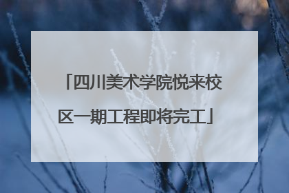 四川美术学院悦来校区一期工程即将完工