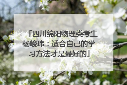 四川绵阳物理类考生杨峻玮：适合自己的学习方法才是最好的