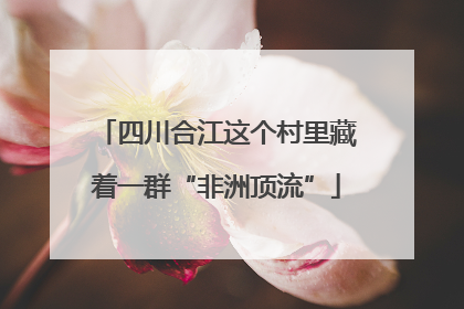 四川合江这个村里藏着一群“非洲顶流”