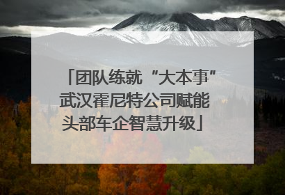 团队练就“大本事” 武汉霍尼特公司赋能头部车企智慧升级